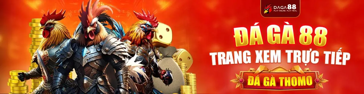 Đá gà trực tuyến kịch tính tại sx666