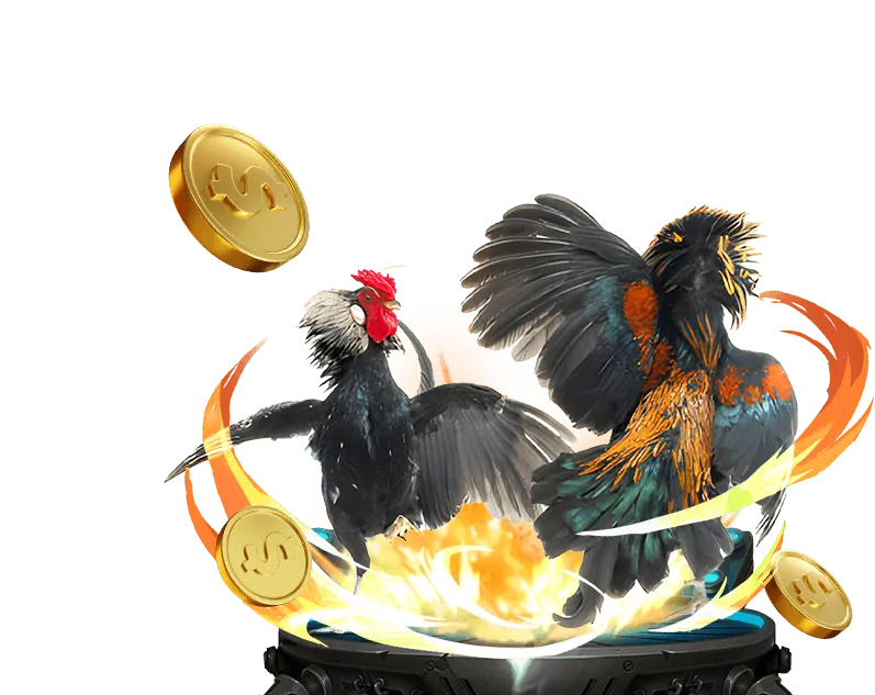 Quản lý vốn Tài Xỉu